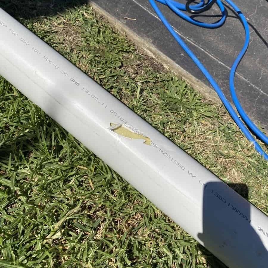 A lizard is perched on a white PVC pipe on a grassy lawn, with blue electrical cords and bathroom and kitchen plumbing components in the background. A lizard is perched on a white PVC pipe on a grassy lawn, with blue electrical cords and bathroom and kitchen plumbing components in the background.